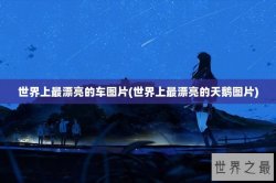世界上最漂亮的车图片(世界上最漂亮的天鹅图片)
