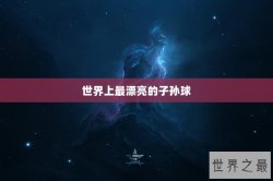 世界上最漂亮的子孙球