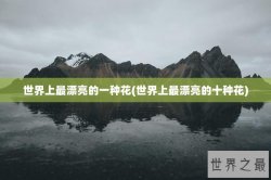 世界上最漂亮的一种花(世界上最漂亮的十种花)