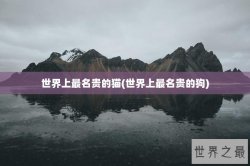 世界上最名贵的猫(世界上最名贵的狗)