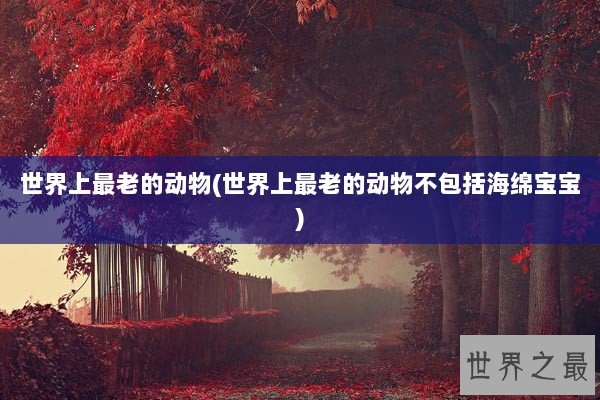世界上最老的动物(世界上最老的动物不包括海绵宝宝)