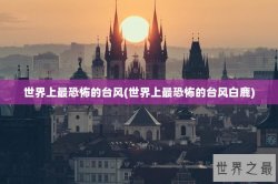 世界上最恐怖的台风(世界上最恐怖的台风白鹿)