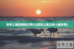 世界上最恐怖的三种人(世界上有三种人最好看)