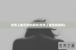 世界上最开放的厕所(世界上最贵的厕所)