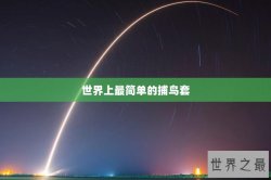 世界上最简单的捕鸟套