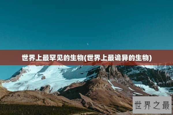 世界上最罕见的生物(世界上最诡异的生物)
