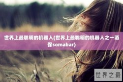 世界上最聪明的机器人(世界上最聪明的机器人之一酒保somabar)