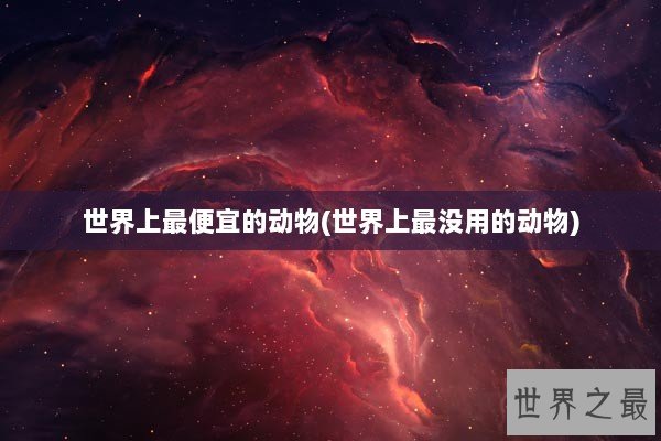 世界上最便宜的动物(世界上最没用的动物)
