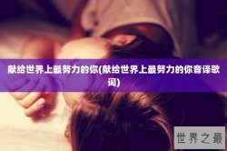 献给世界上最努力的你(献给世界上最努力的你音译歌词)