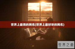 世界上最拽的网名(世界上最好听的网名)