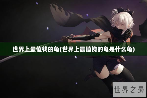 世界上最值钱的龟(世界上最值钱的龟是什么龟)