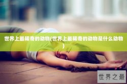世界上最稀奇的动物(世界上最稀奇的动物是什么动物)