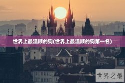 世界上最温顺的狗(世界上最温顺的狗第一名)