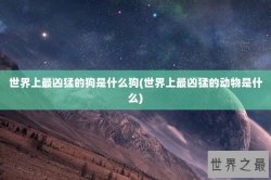 世界上最凶猛的狗是什么狗(世界上最凶猛的动物是什么)