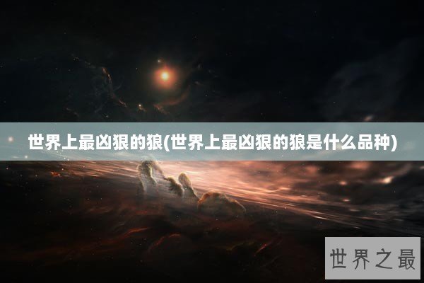 世界上最凶狠的狼(世界上最凶狠的狼是什么品种)