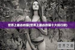 世界上最凶的猫(世界上最凶的猫十大排行榜)