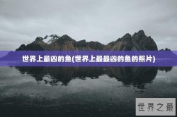 世界上最凶的鱼(世界上最最凶的鱼的照片)