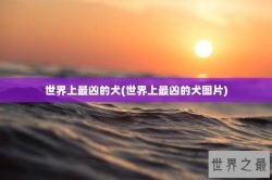 世界上最凶的犬(世界上最凶的犬图片)