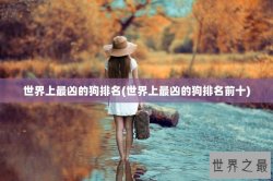 世界上最凶的狗排名(世界上最凶的狗排名前十)