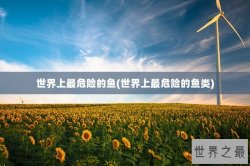 世界上最危险的鱼(世界上最危险的鱼类)