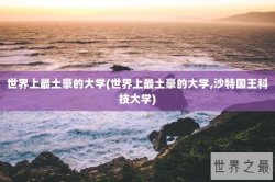 世界上最土豪的大学(世界上最土豪的大学,沙特国王科技大学)