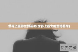 世界上最帅兰博基尼(世界上最大的兰博基尼)