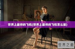 世界上最帅的飞机(世界上最帅的飞机怎么画)