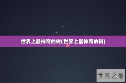 世界上最神奇的树(世界上最神奇的树)