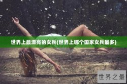 世界上最漂亮的女兵(世界上哪个国家女兵最多)