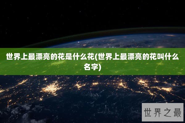 世界上最漂亮的花是什么花(世界上最漂亮的花叫什么名字)