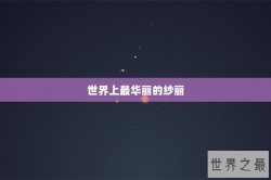 世界上最华丽的纱丽