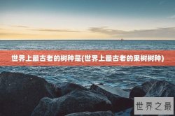世界上最古老的树种是(世界上最古老的果树树种)
