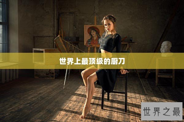 世界上最顶级的厨刀