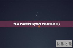 世界上最蠢的鸟(世界上最厉害的鸟)