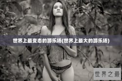 世界上最变态的游乐场(世界上最大的游乐场)