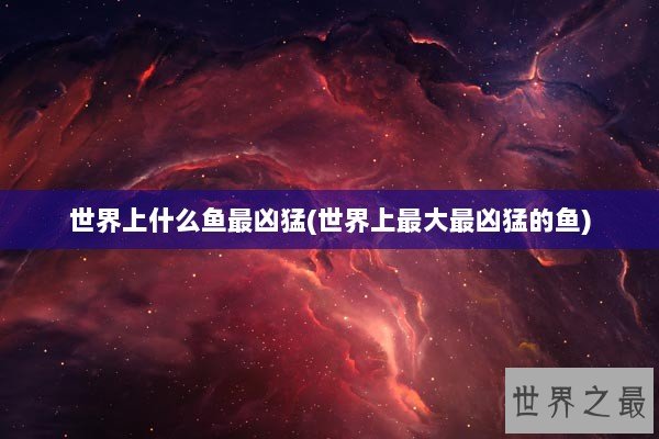 世界上什么鱼最凶猛(世界上最大最凶猛的鱼)