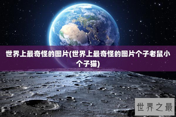 世界上最奇怪的图片(世界上最奇怪的图片个子老鼠小个子猫)