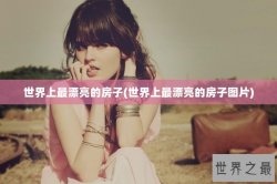 世界上最漂亮的房子(世界上最漂亮的房子图片)