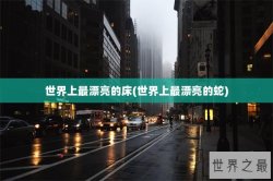 世界上最漂亮的床(世界上最漂亮的蛇)