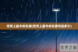 世界上最牛的车牌(世界上最牛的车牌号是多少)