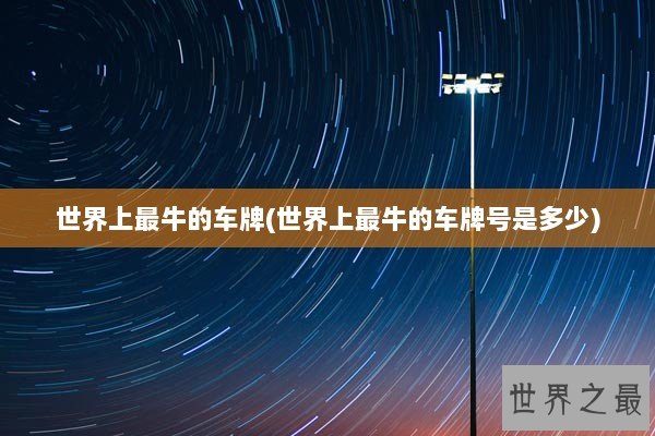 世界上最牛的车牌(世界上最牛的车牌号是多少)