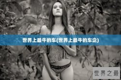 世界上最牛的车(世界上最牛的车企)
