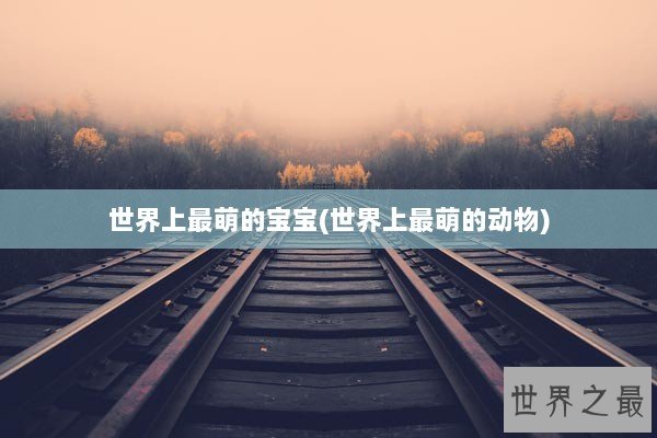 世界上最萌的宝宝(世界上最萌的动物)