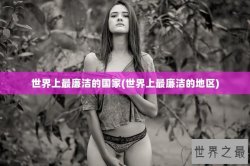 世界上最廉洁的国家(世界上最廉洁的地区)