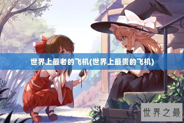世界上最老的飞机(世界上最贵的飞机)