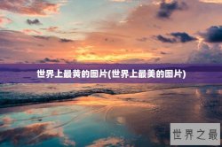 世界上最黄的图片(世界上最美的图片)