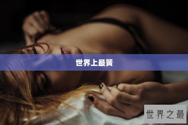 世界上最簧