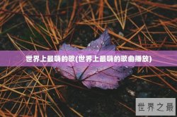 世界上最嗨的歌(世界上最嗨的歌曲播放)