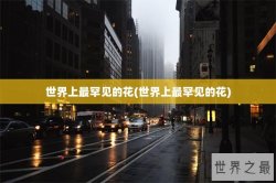 世界上最罕见的花(世界上最罕见的花)