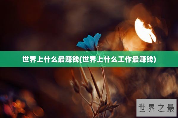 世界上什么最赚钱(世界上什么工作最赚钱)